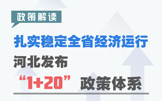 公开制度