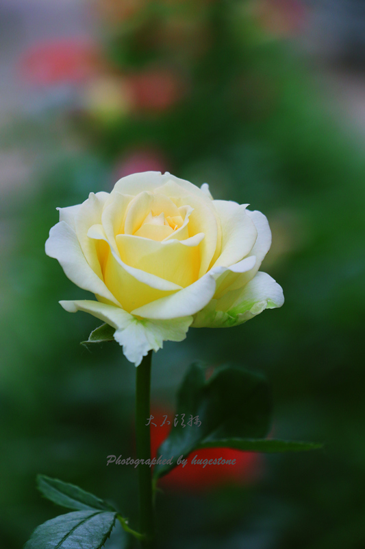 IMG_1813_副本_副本.jpg